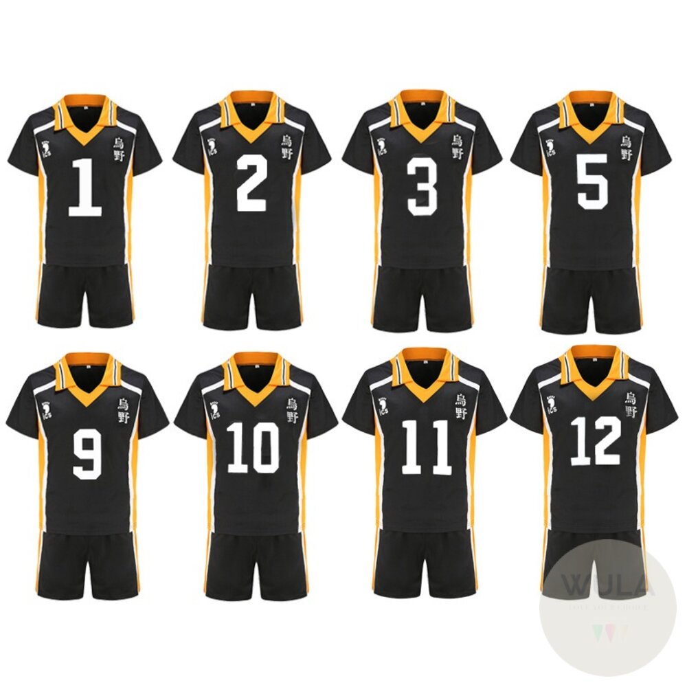 排球少年 封面照片