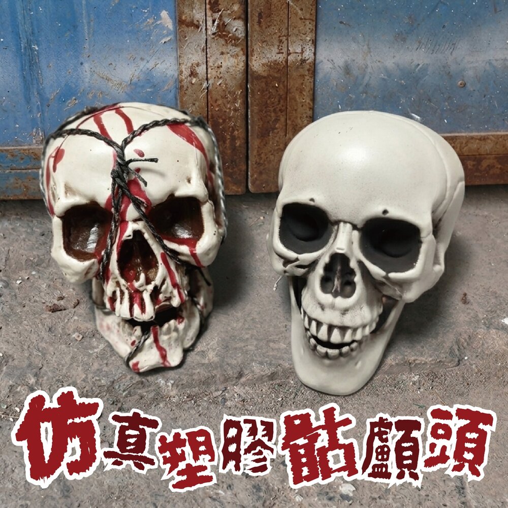 260525110908-仿真塑膠骷髏頭