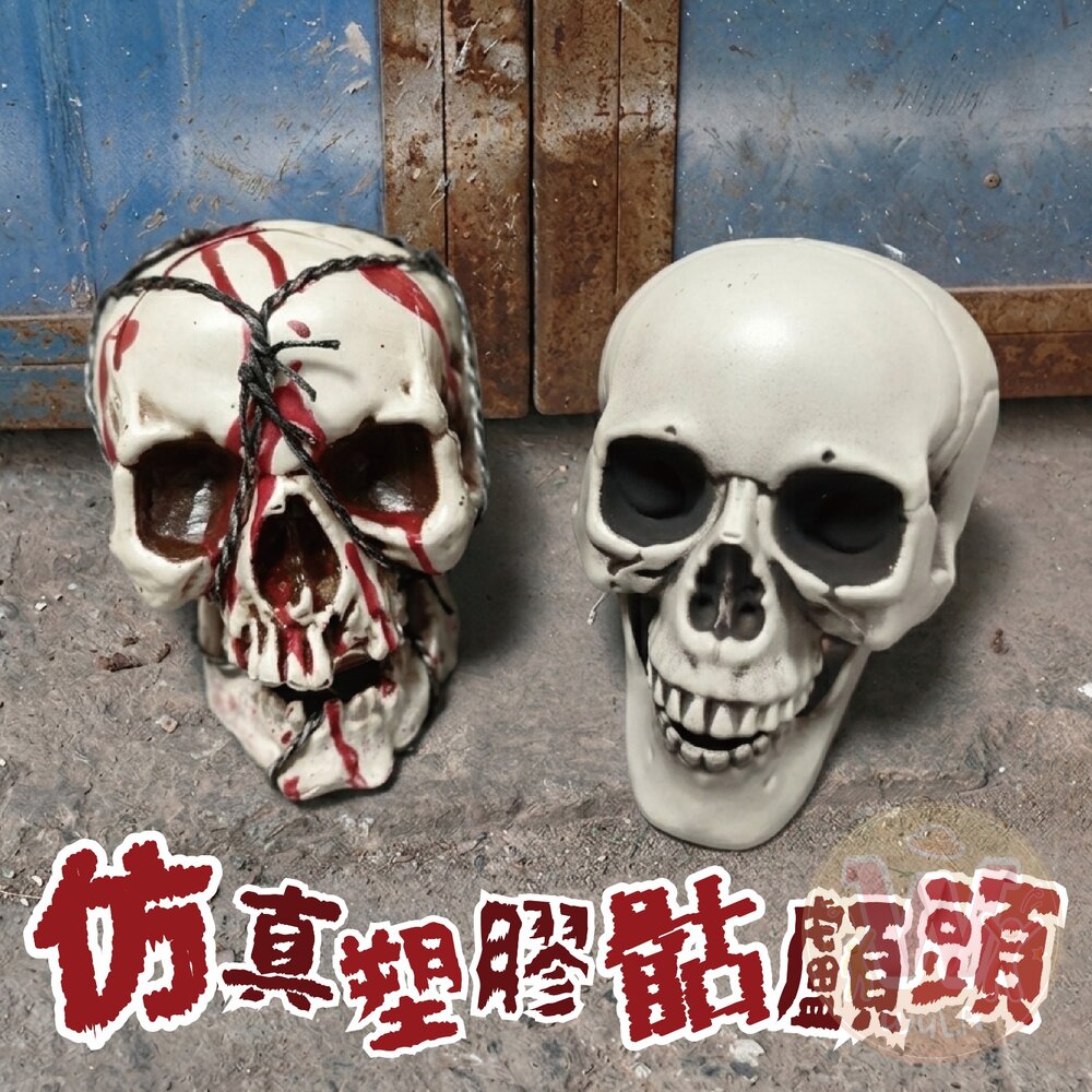 仿真塑膠骷髏頭 封面照片
