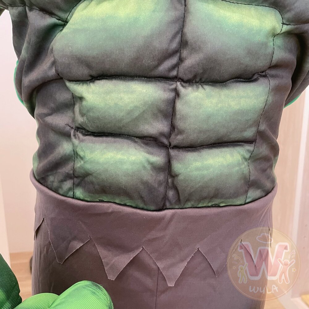綠巨人浩克服裝-兒童版-圖片-4