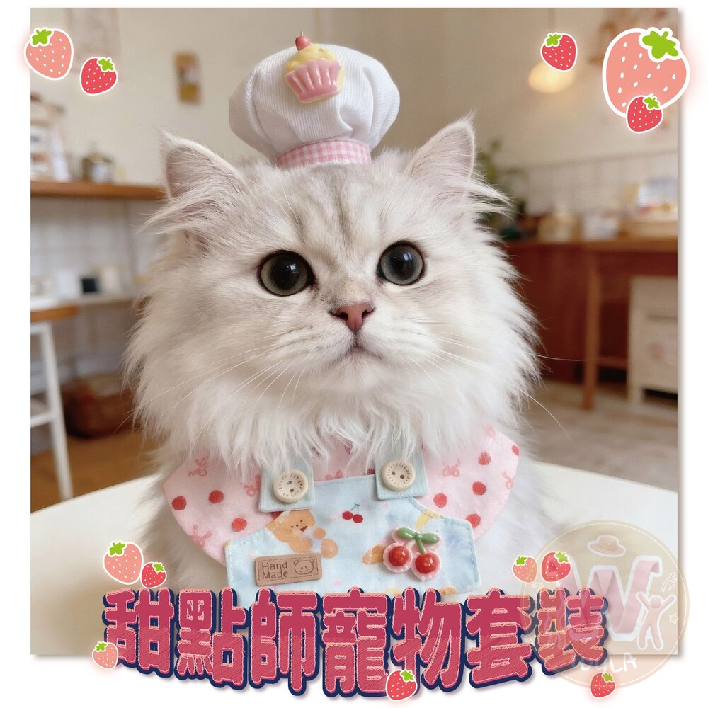 甜點師寵物套裝 封面照片