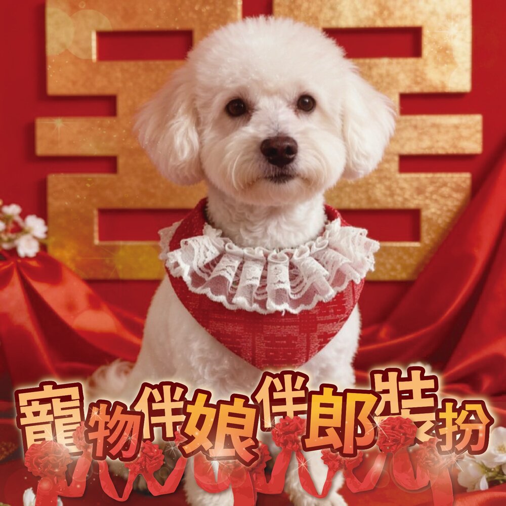 260603103428-寵物伴娘伴郎裝扮