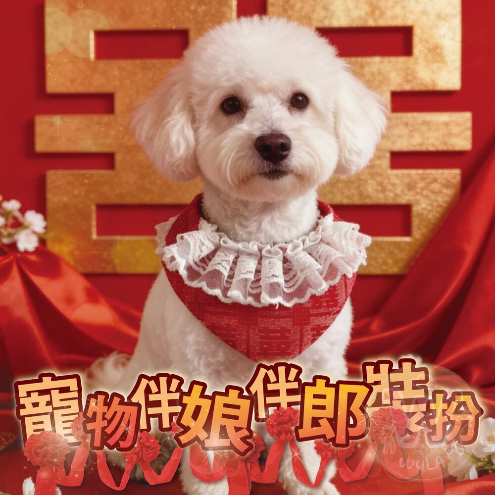 寵物伴娘伴郎裝扮 封面照片