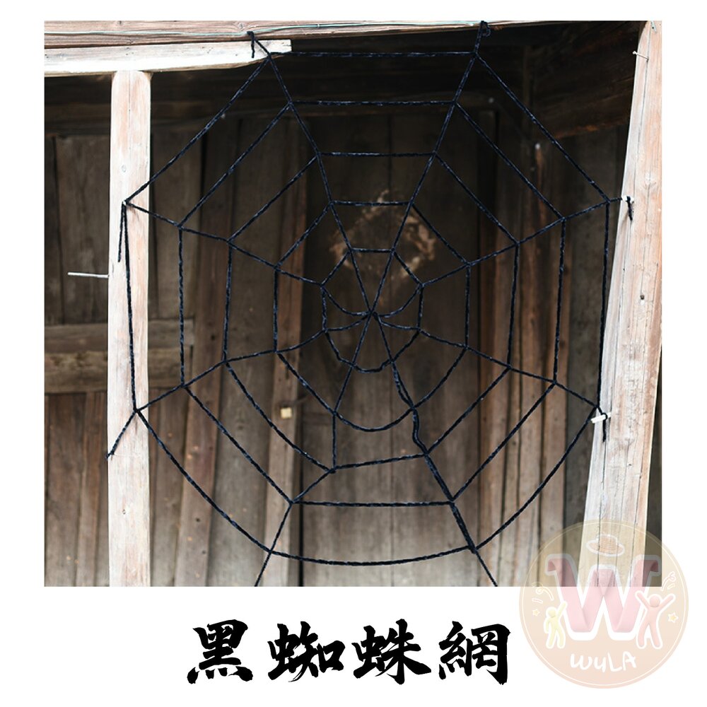 仿真蜘蛛絲道具-圖片-6