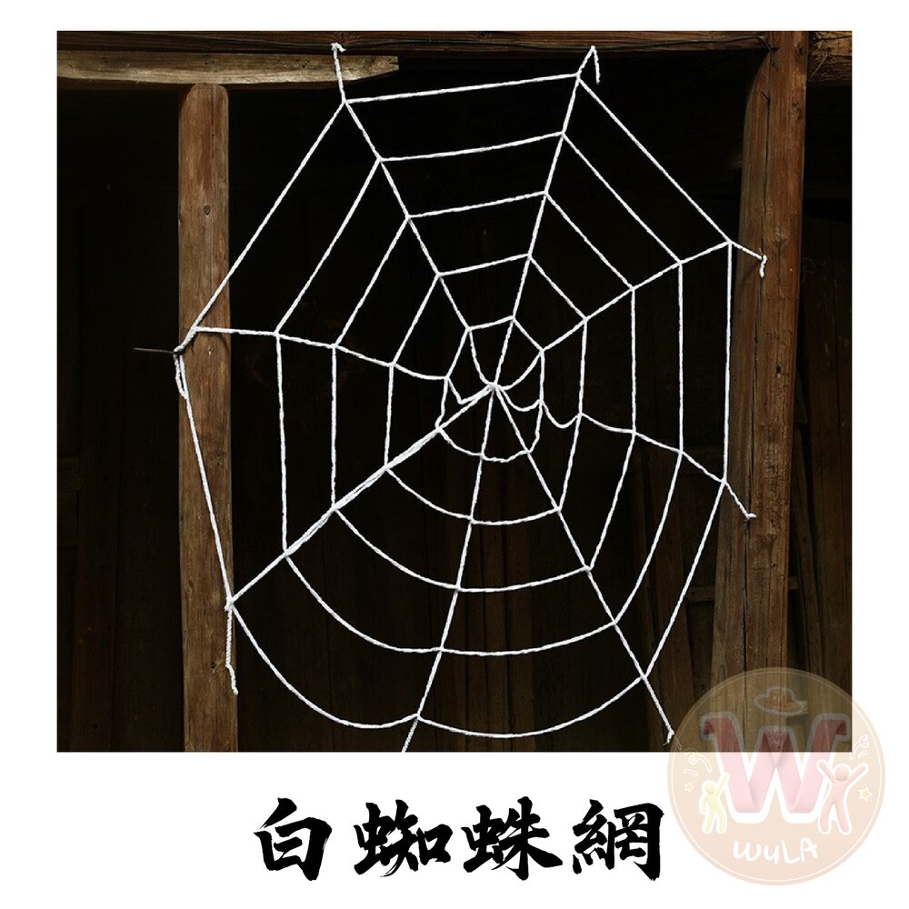 仿真蜘蛛絲道具-圖片-7