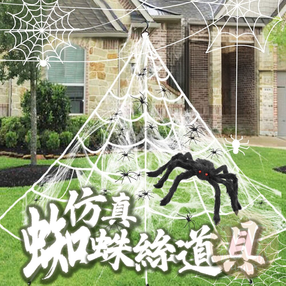 仿真蜘蛛絲道具 封面照片