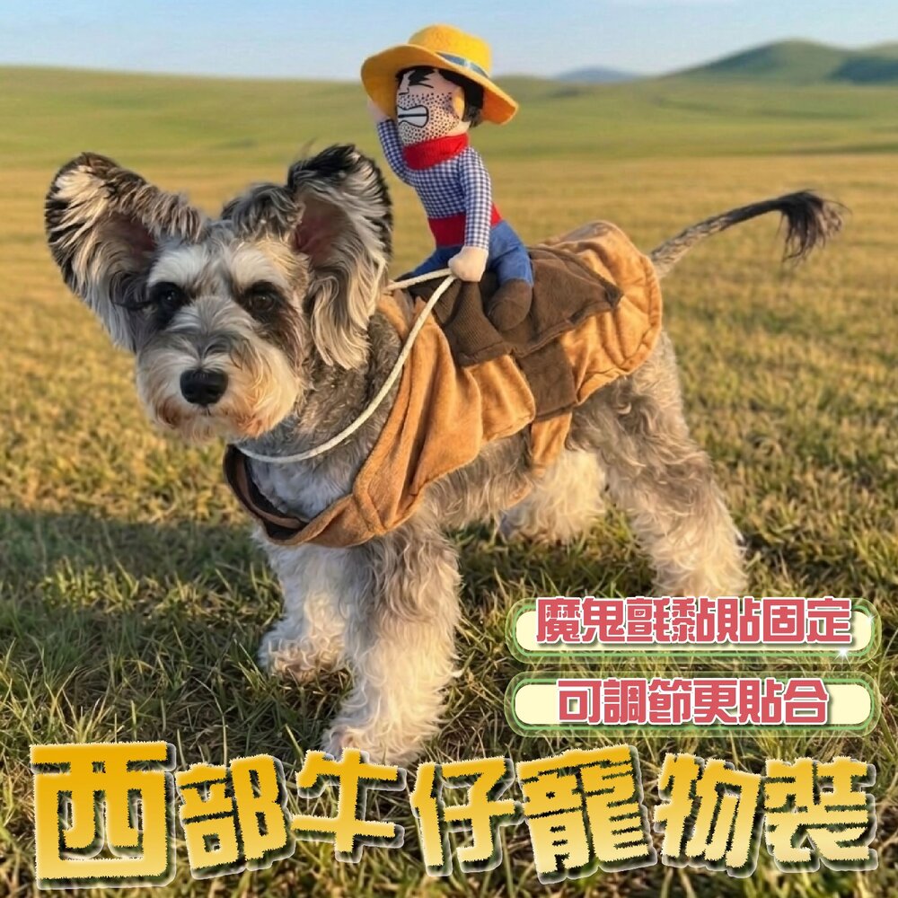 260714141440-西部牛仔寵物裝