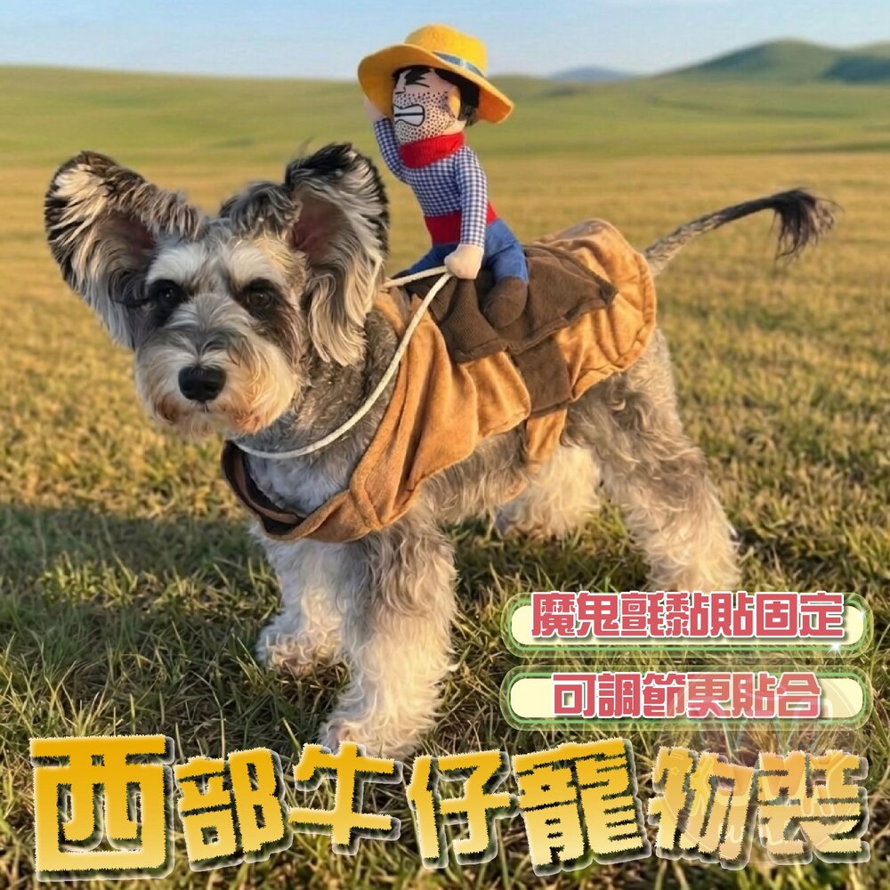 260714141440-西部牛仔寵物裝