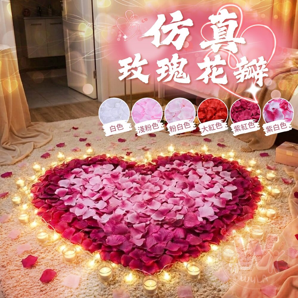 仿真玫瑰花瓣 封面照片