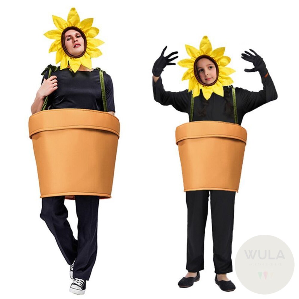 搞笑向日葵裝 封面照片