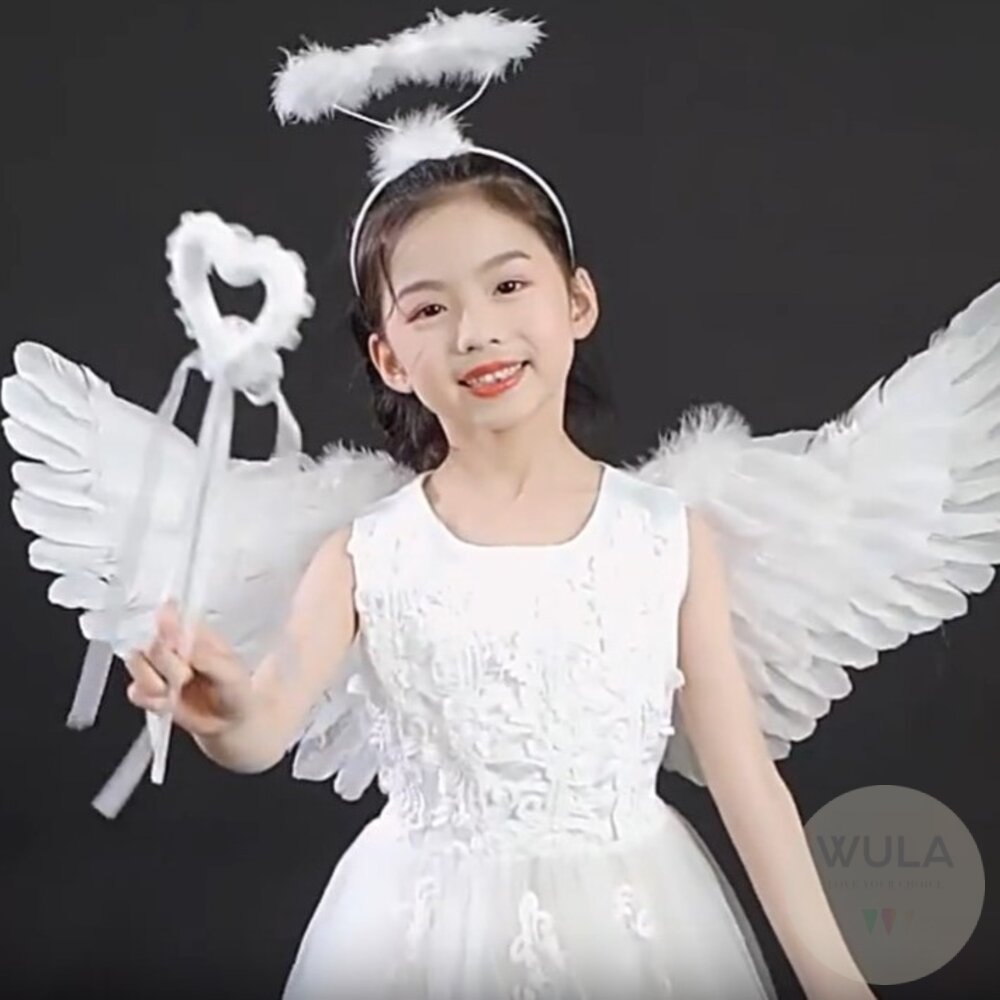 天使翅膀-燕子款-圖片-1