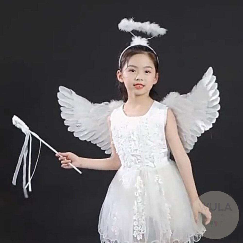 天使翅膀-燕子款-圖片-2