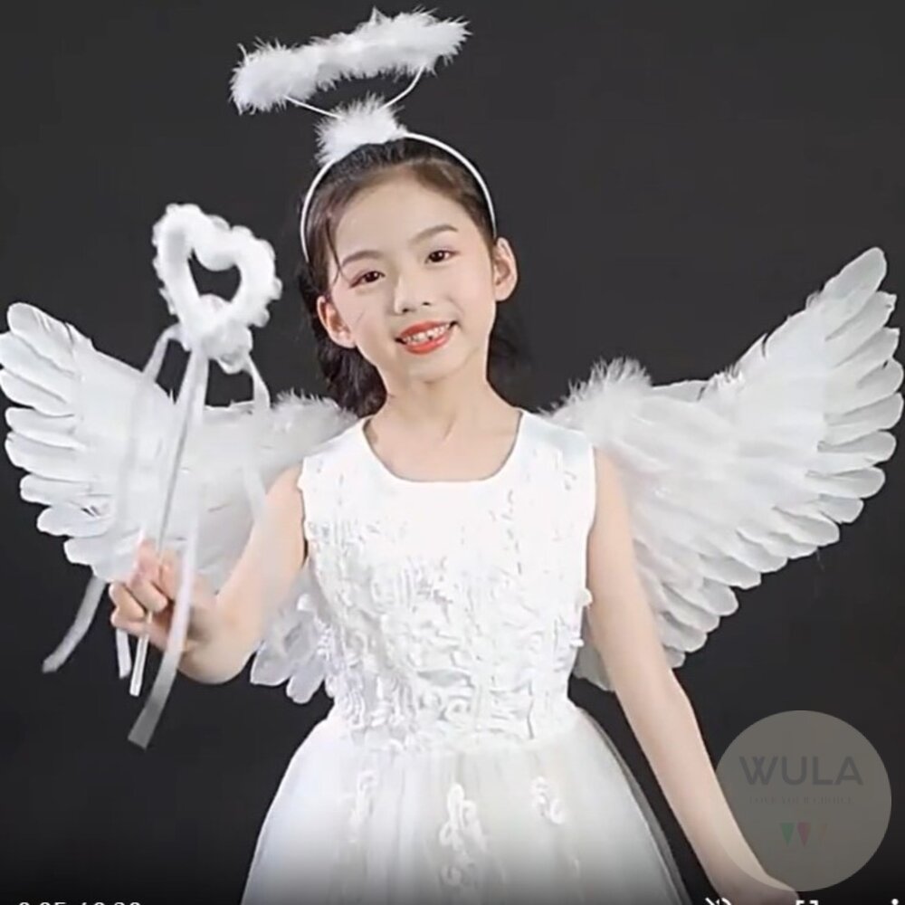 天使翅膀-燕子款-圖片-4