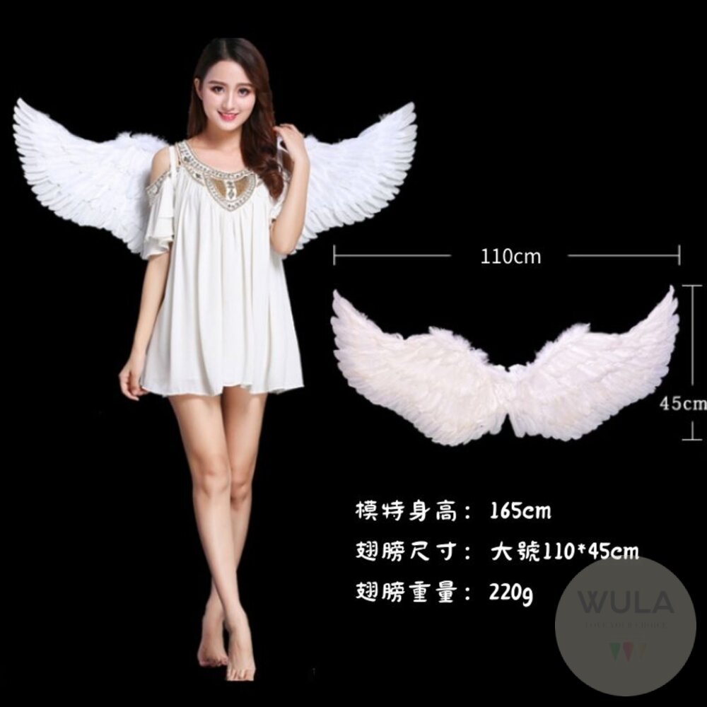 天使翅膀-燕子款-圖片-8