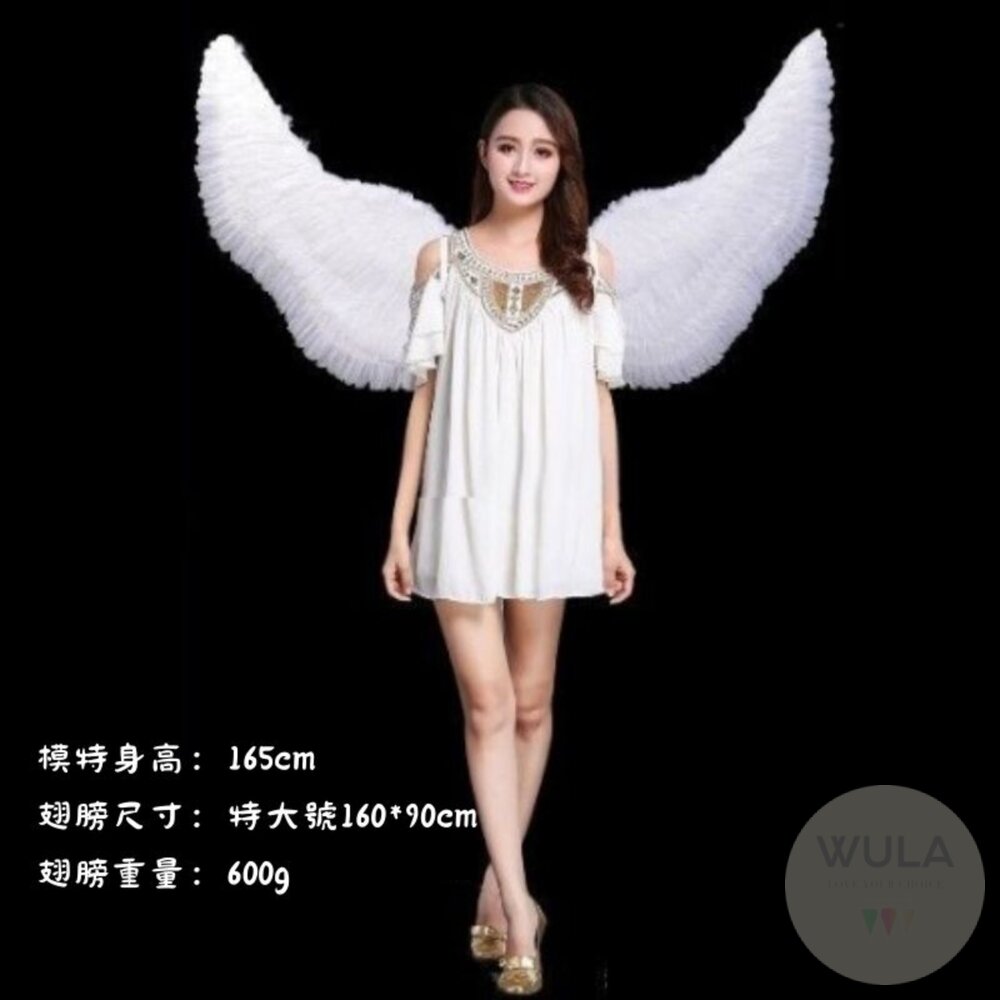 天使翅膀-燕子款-圖片-9