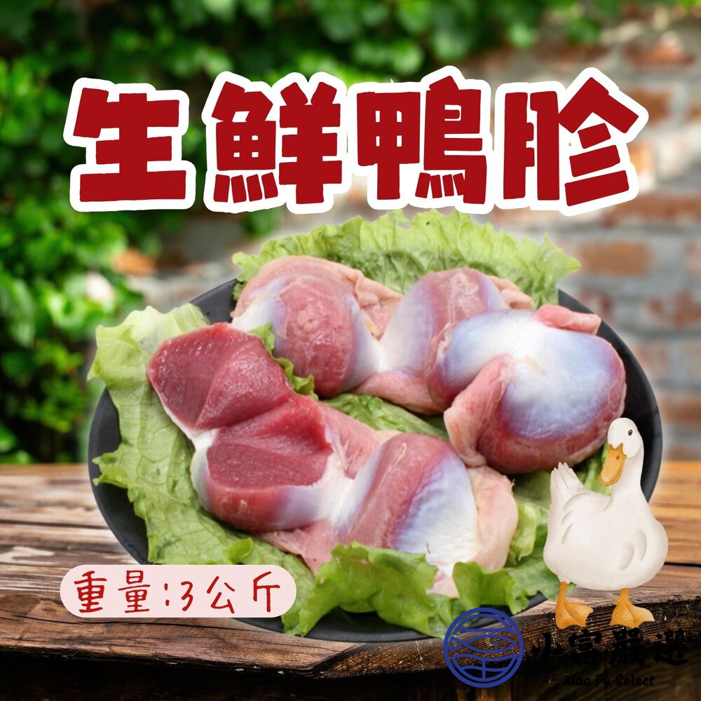生鮮鴨胗 生鮮鴨腱 頂級鴨胗 頂級鴨腱 (3000g/包) 封面照片