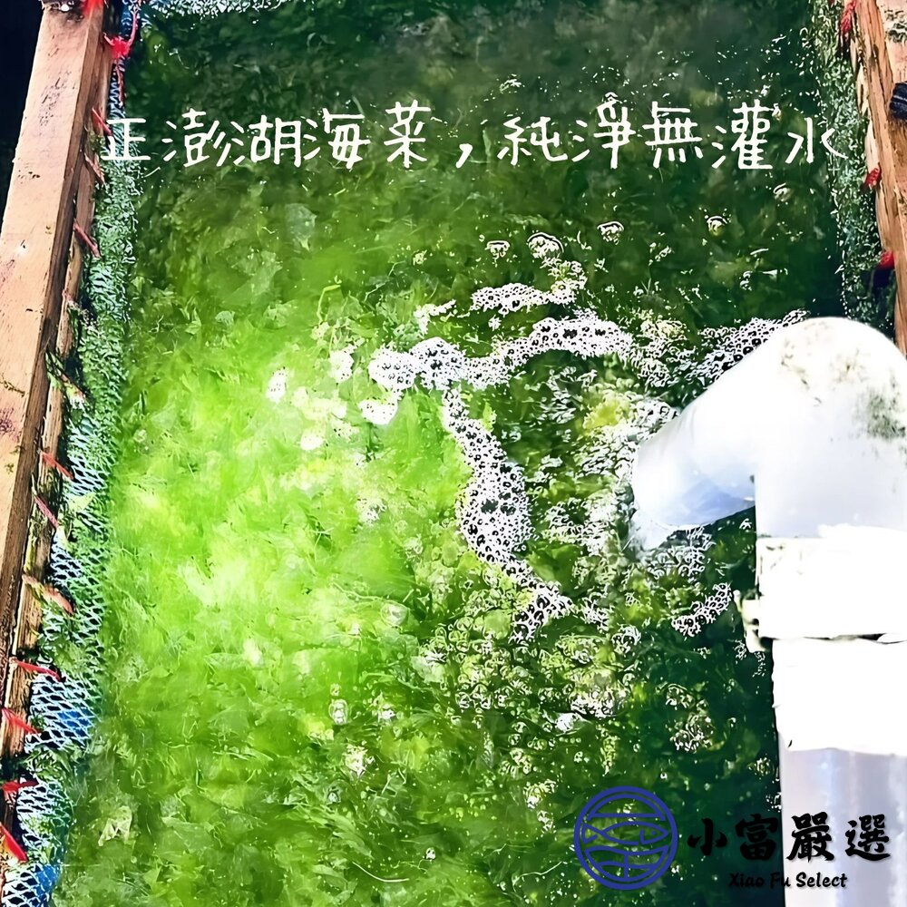 澎湖海菜 野生海菜 澎湖野生海菜 (300g/包)-圖片-2
