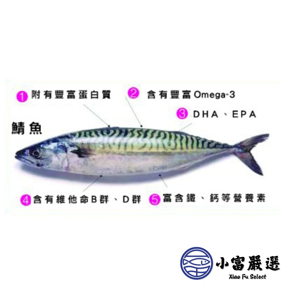 頂級正挪威鯖魚片 鯖魚 (80-100g) 鯖魚片-圖片-4