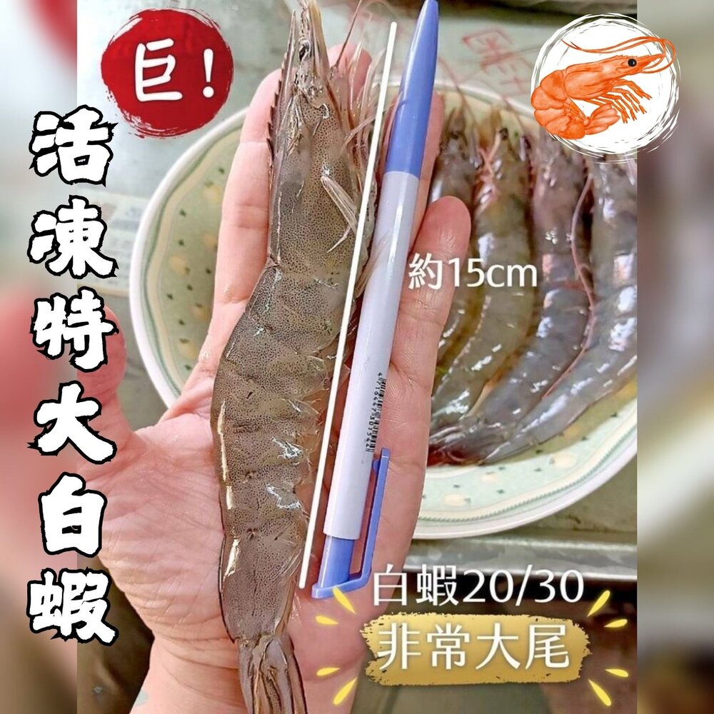0802022-活凍白蝦 特大號 大白蝦 紅太陽生白蝦 20/30生白蝦 蝦子 白蝦(850g/盒)