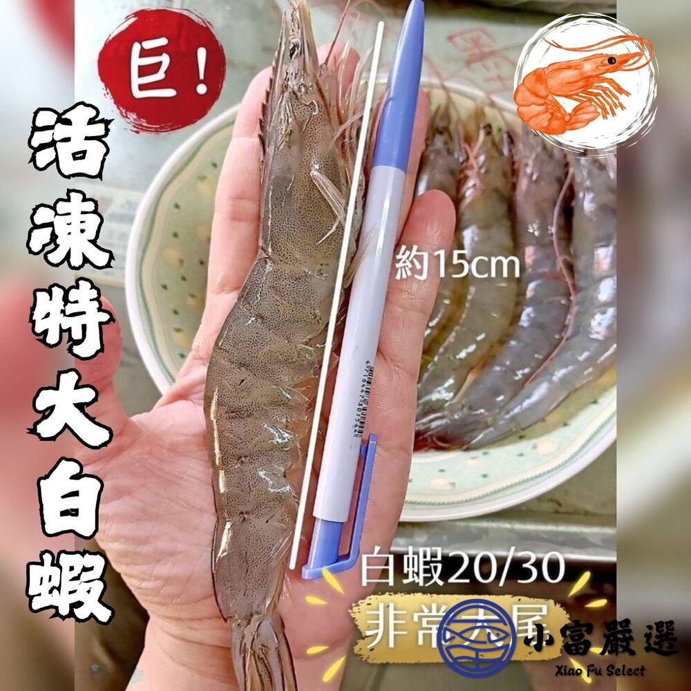 活凍白蝦 特大號 大白蝦 紅太陽生白蝦 20/30生白蝦 蝦子 白蝦(850g/盒)-圖片-1