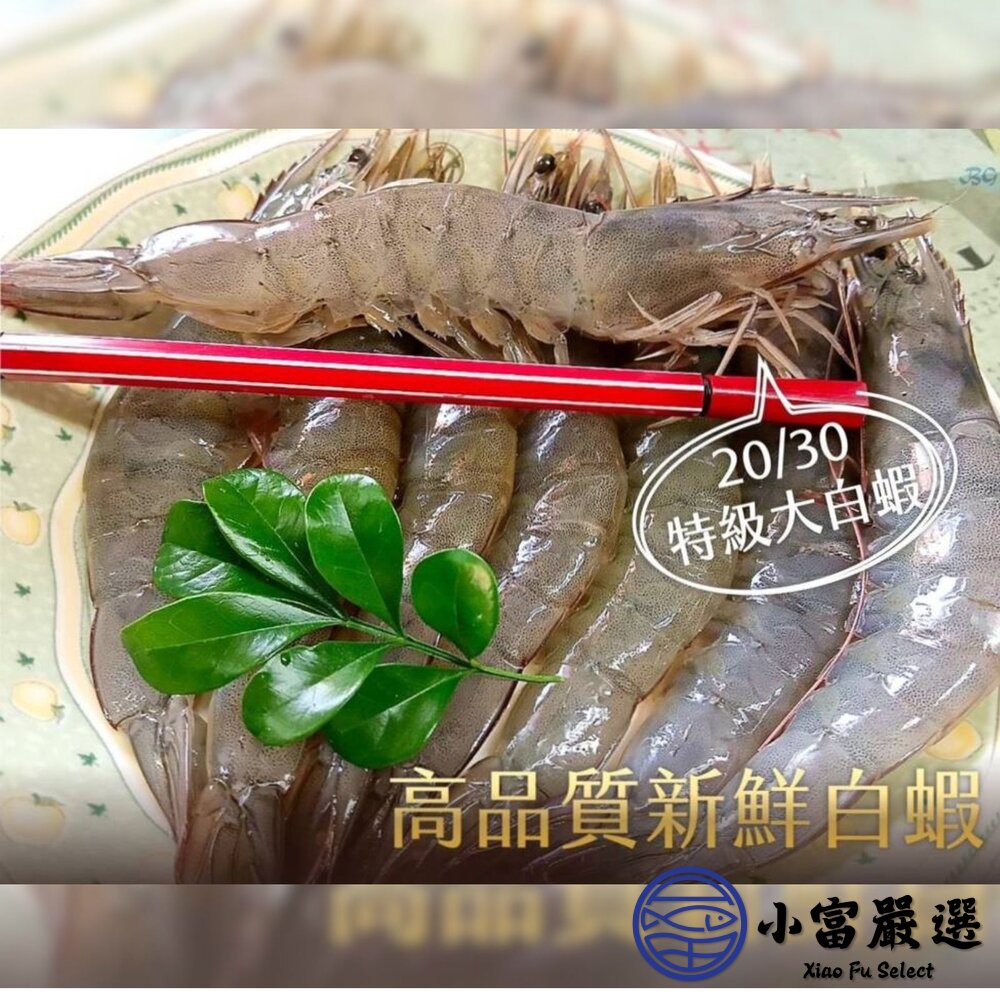 活凍白蝦 特大號 大白蝦 紅太陽生白蝦 20/30生白蝦 蝦子 白蝦(850g/盒)-圖片-4
