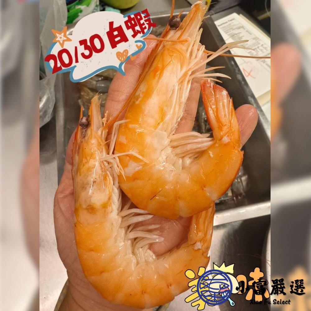 活凍白蝦 特大號 大白蝦 紅太陽生白蝦 20/30生白蝦 蝦子 白蝦(850g/盒)-圖片-6