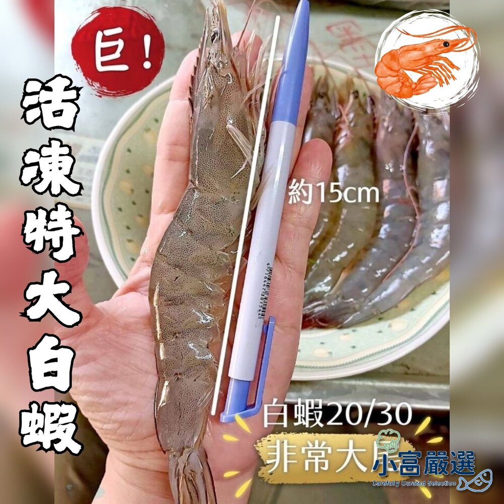 0802022-活凍白蝦 特大號20/30生白蝦