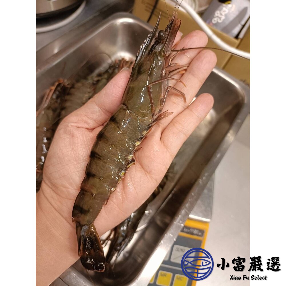 草蝦 活凍草蝦 生草蝦 生鮮草蝦 鮮凍大草蝦 (250g/盒10隻)-圖片-5