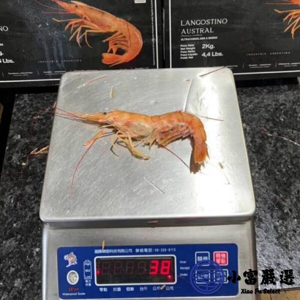 【小富嚴選】阿根廷天使紅蝦2L 鮮凍紅蝦 。(約53尾上下/2000g/盒) 冷凍紅蝦 聚餐首選 燒烤 鹽烤-圖片-7