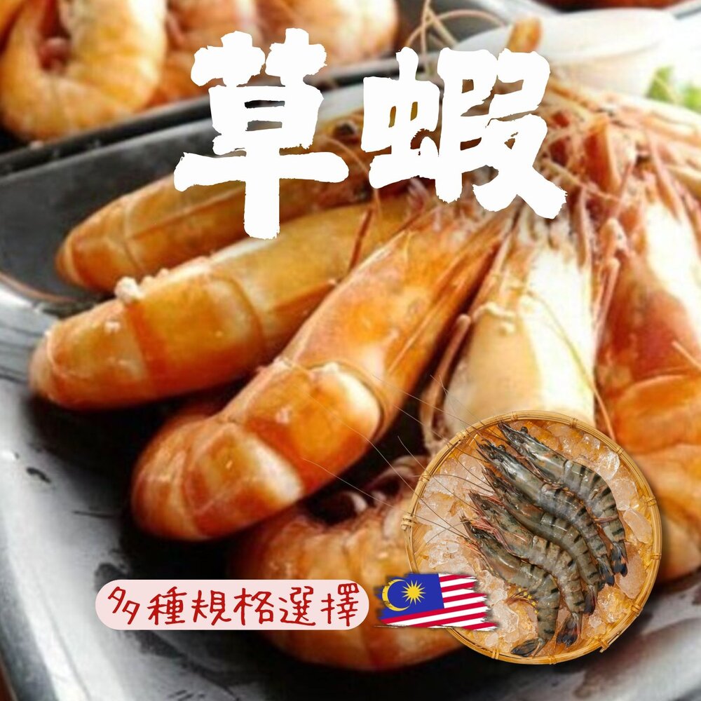 0805001-生鮮大草蝦 活凍大草蝦 草蝦8隻 草蝦10隻 草蝦12隻 (多規格選擇/盒)
