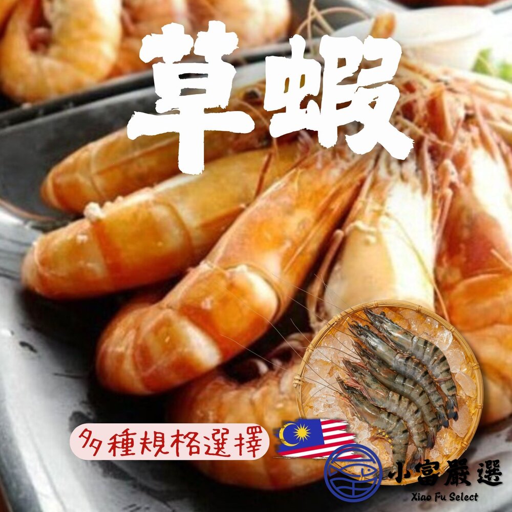生鮮大草蝦 活凍大草蝦 草蝦8隻 草蝦10隻 草蝦12隻 (多規格選擇/盒) 封面照片