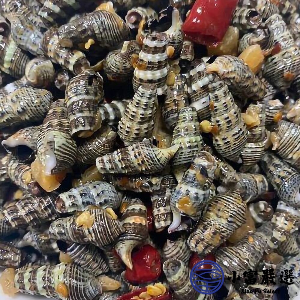 台灣野生燒酒螺 燒酒螺 (500g/包)-圖片-2