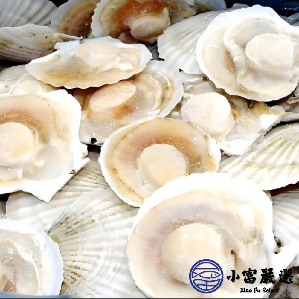 鮮甜半殼扇貝 6cm/7cm (500g/包)-圖片-3