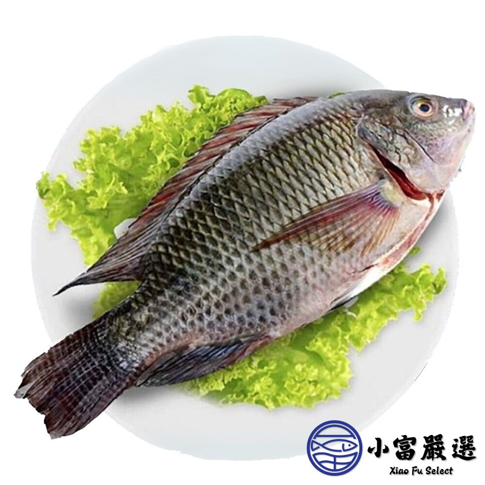 台灣三去吳郭魚 台灣鯛 (重量300/400g 包10%保護冰) 鹽烤 燉煮 乾煎-圖片-1