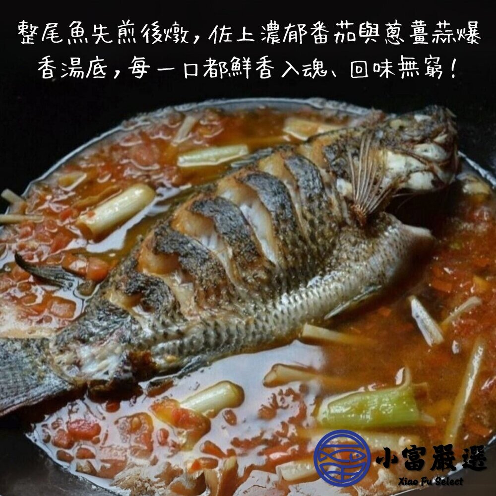台灣三去吳郭魚 台灣鯛 (重量300/400g 包10%保護冰) 鹽烤 燉煮 乾煎-圖片-2