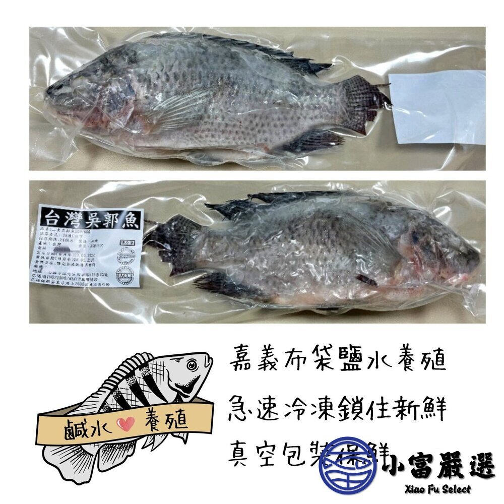 台灣三去吳郭魚 台灣鯛 (重量300/400g 包10%保護冰) 鹽烤 燉煮 乾煎-圖片-3