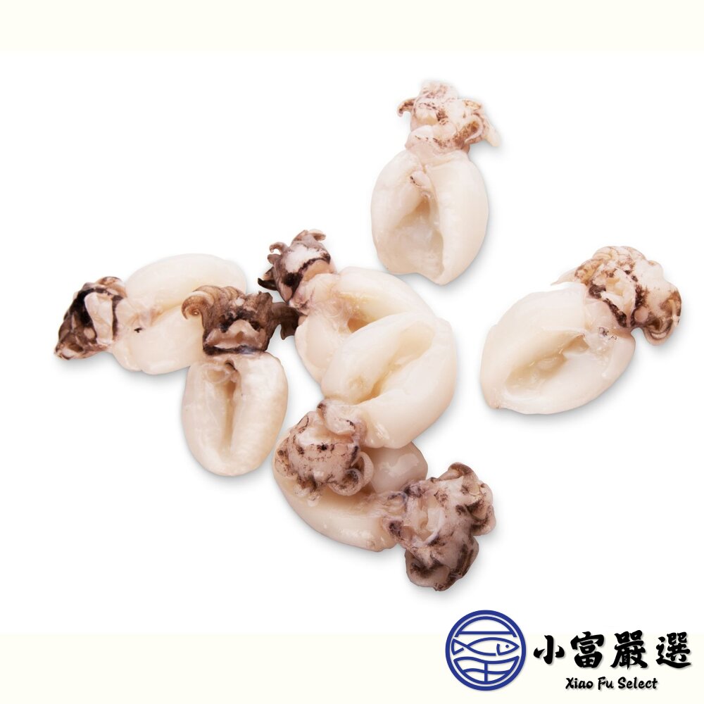 小花枝(毛300g/淨重180g)約14隻小花枝片-圖片-1