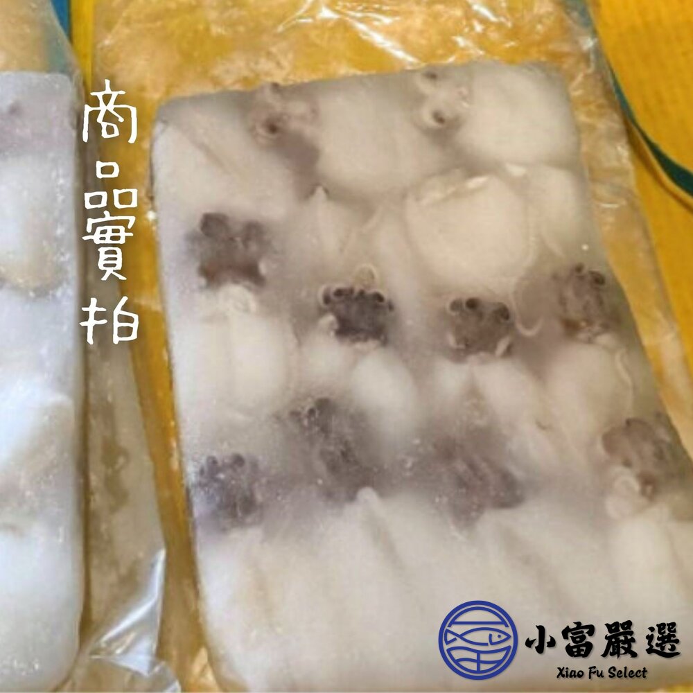 小花枝(毛300g/淨重180g)約14隻小花枝片-圖片-2