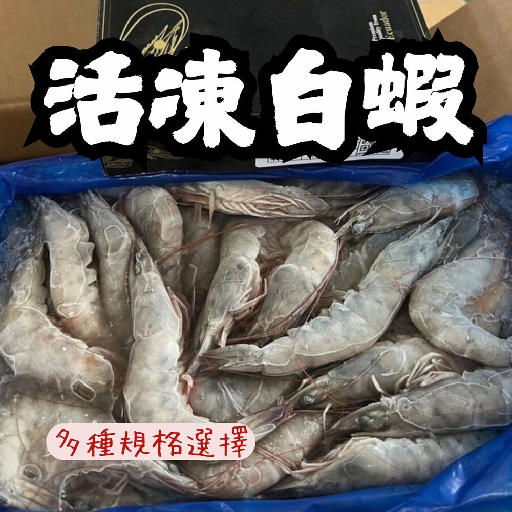 14383718829-嚴選精選高品質白蝦 鮮甜美味 活凍白蝦 (重量750g~850g/多種規格大小)