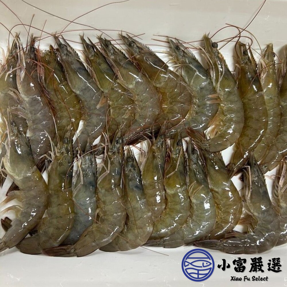 嚴選精選高品質白蝦 鮮甜美味 活凍白蝦 (重量750g~850g/多種規格大小)-圖片-5