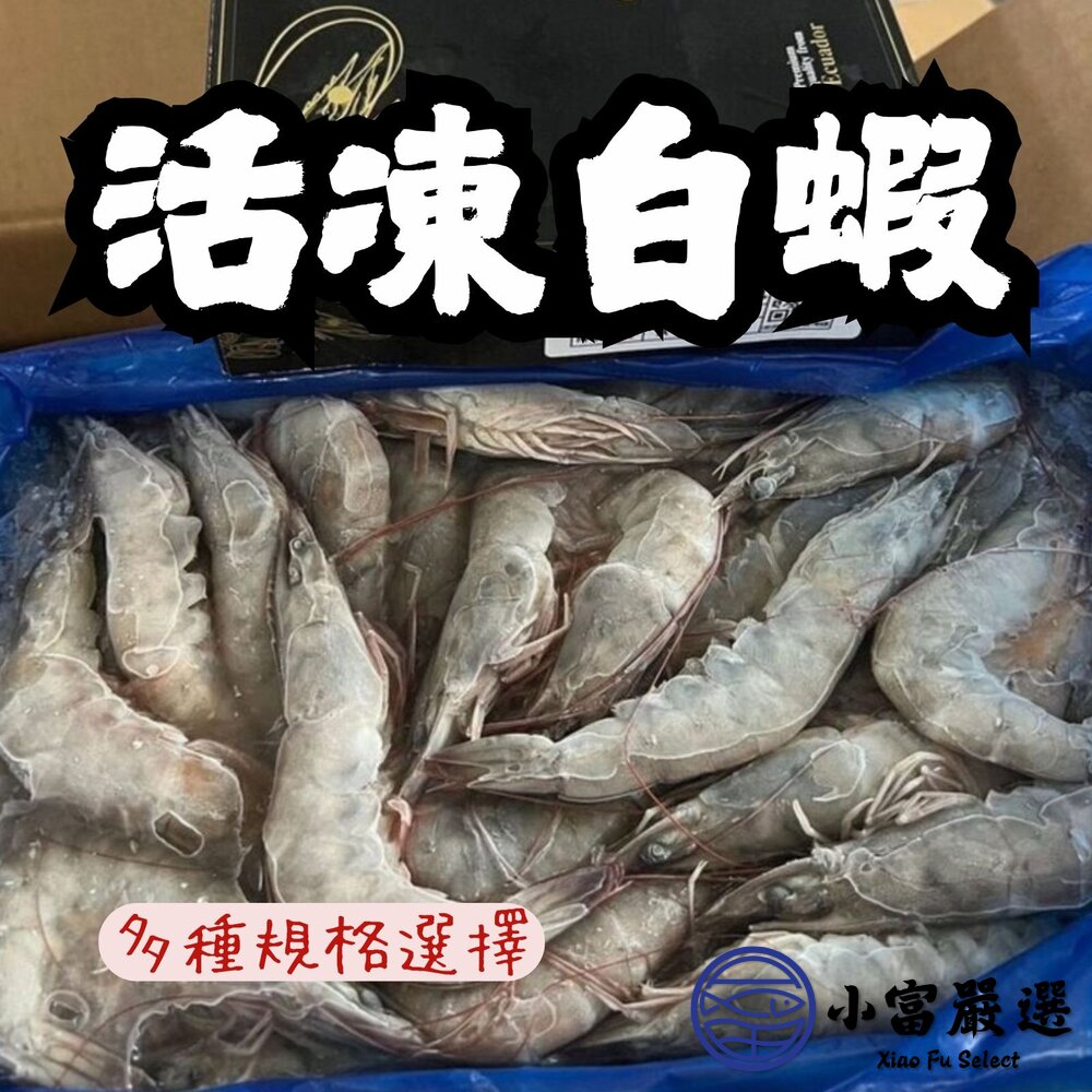 嚴選精選高品質白蝦 鮮甜美味 活凍白蝦 (重量750g~850g/多種規格大小) 封面照片