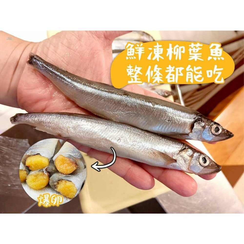 18293247930-0185小富嚴選鯖魚柳葉魚類-大規格爆卵柳葉魚200g(中蛋率極高) 生的喔 急速冷凍鮮的狠的特價78