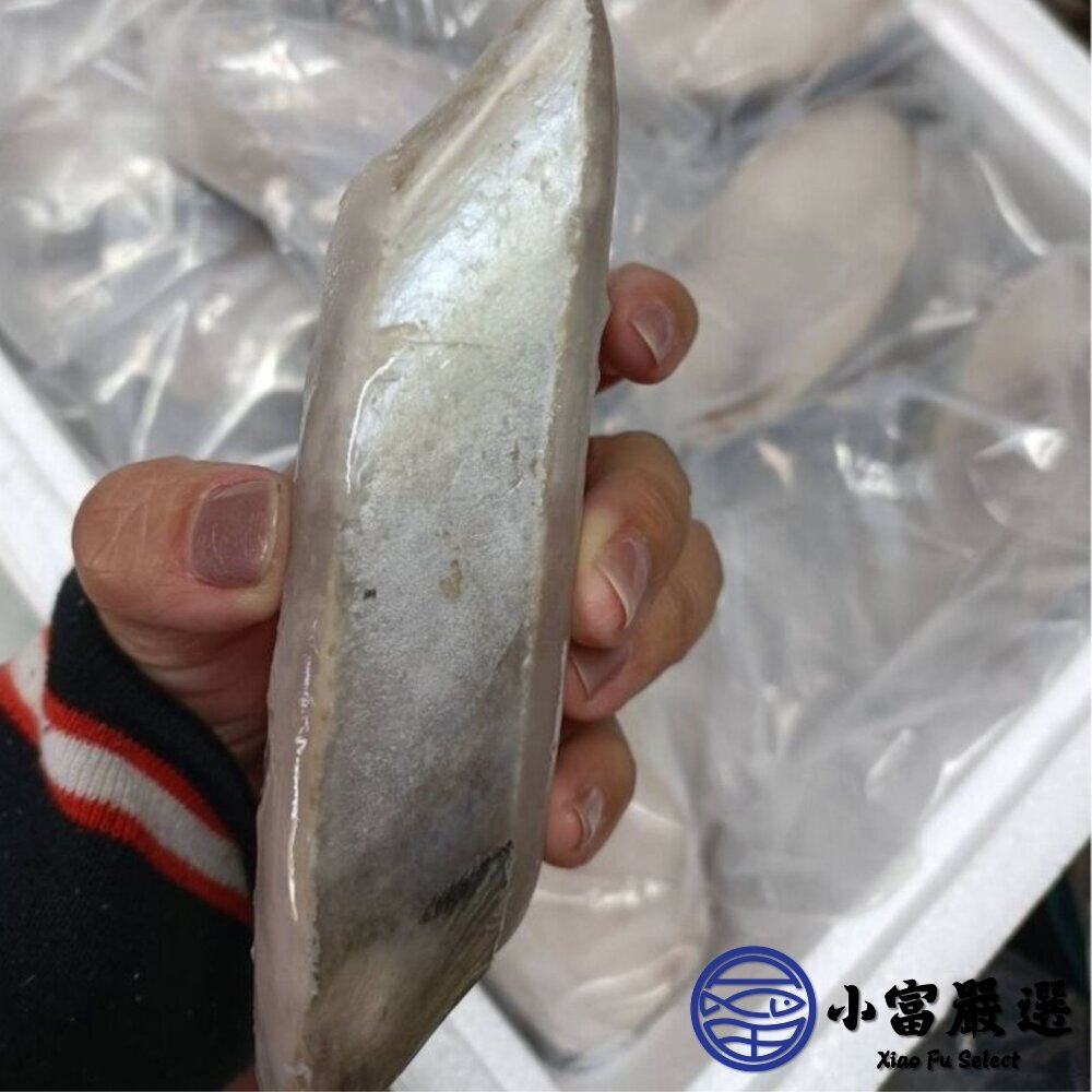 土魠魚輪切(多規格) 土魠魚片中段-圖片-4