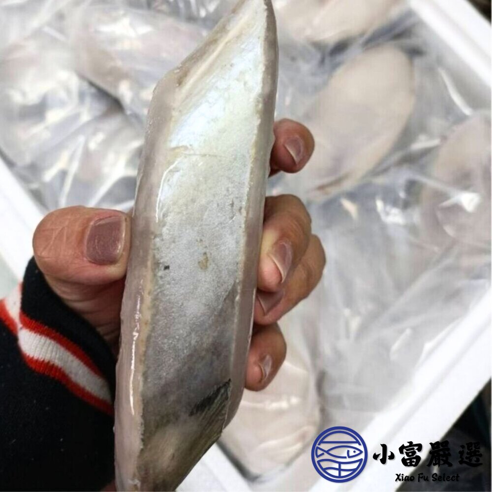 土魠魚片(250~300g/片)土魠魚輪切 輪切中段 肉魚-圖片-4