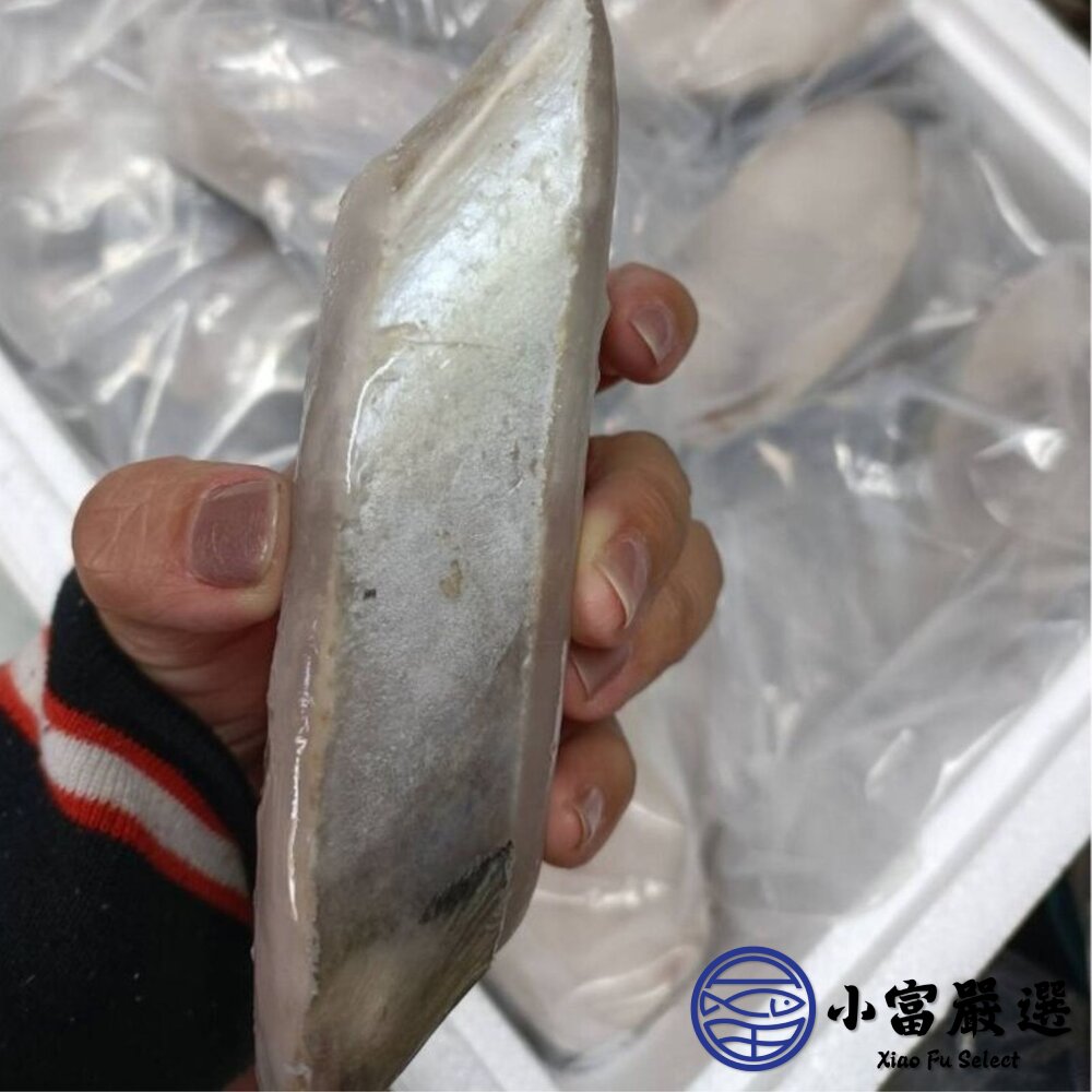 土魠魚片 (多規格)土魠魚輪切 輪切中段-圖片-4