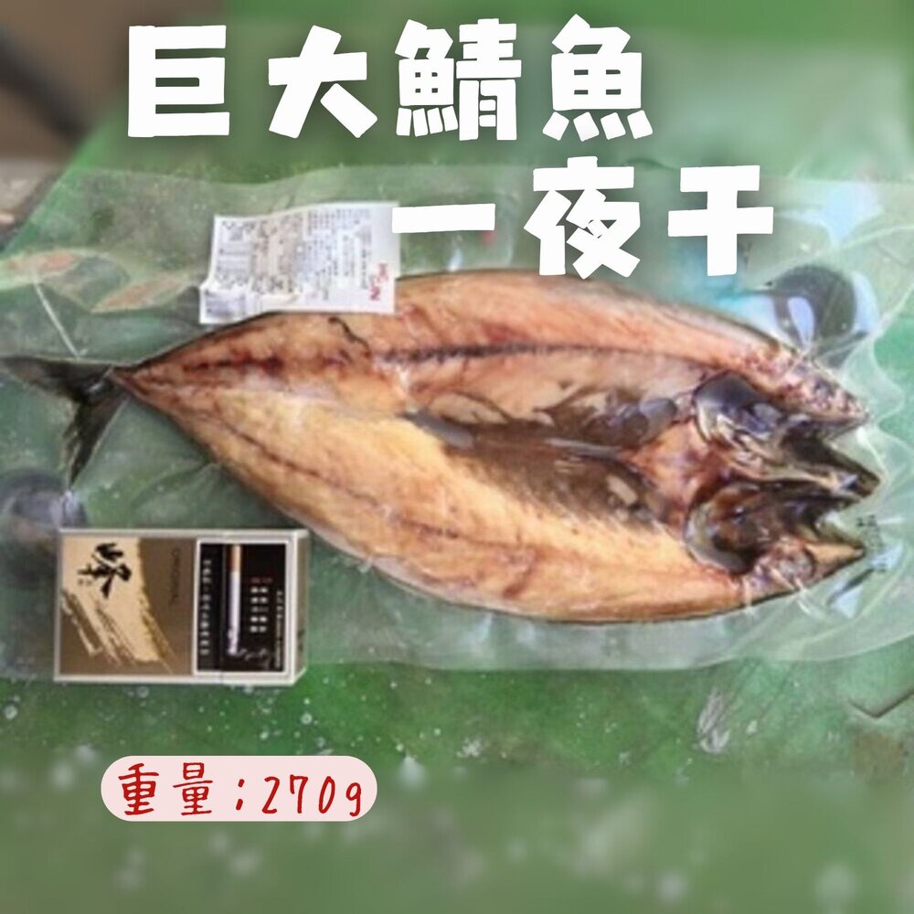 21041100849-巨大鯖魚一夜干 鯖魚一夜乾 挪威鯖魚 真空包裝 特價 (270g/包)
