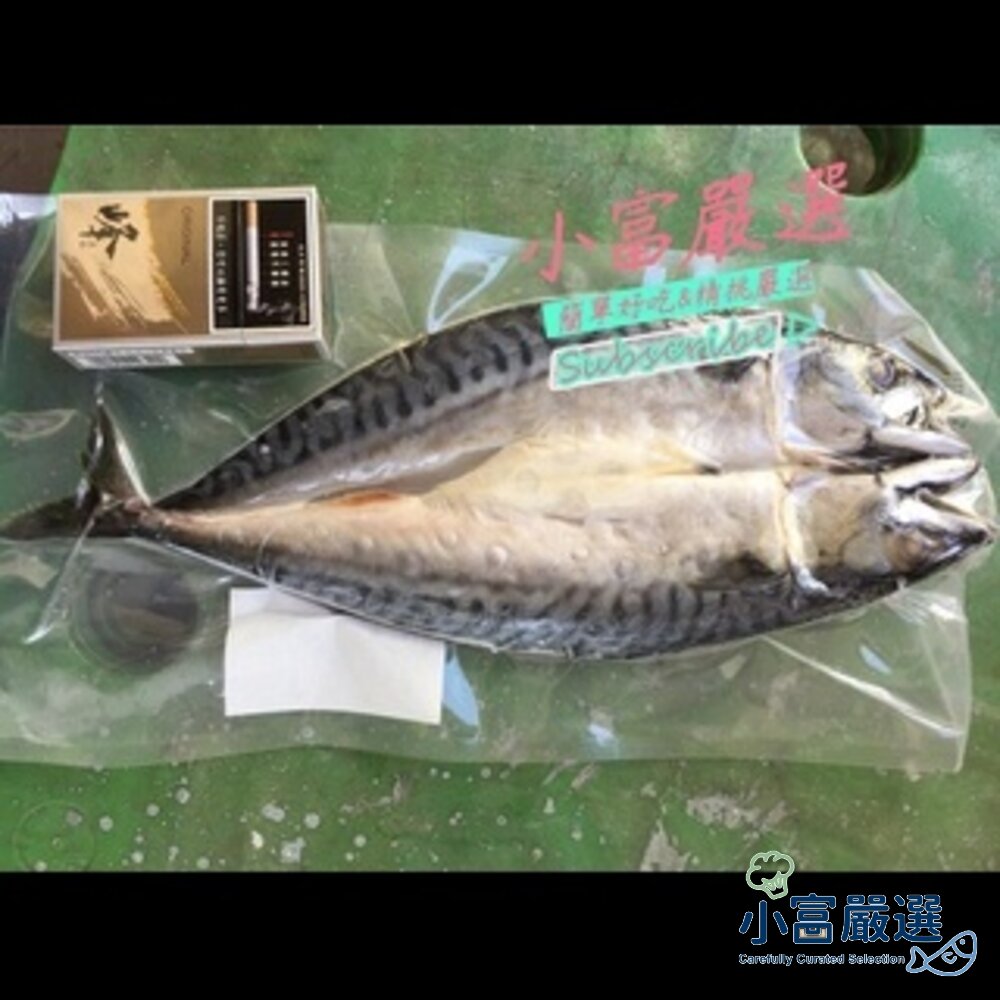 21041100849-鯖魚柳葉魚類-巨大鯖魚一夜干克一夜乾
