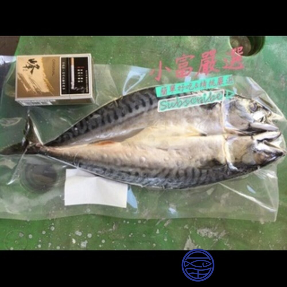 21041100849-鯖魚柳葉魚類-巨大鯖魚一夜干 鯖魚一夜乾 270克 特價中