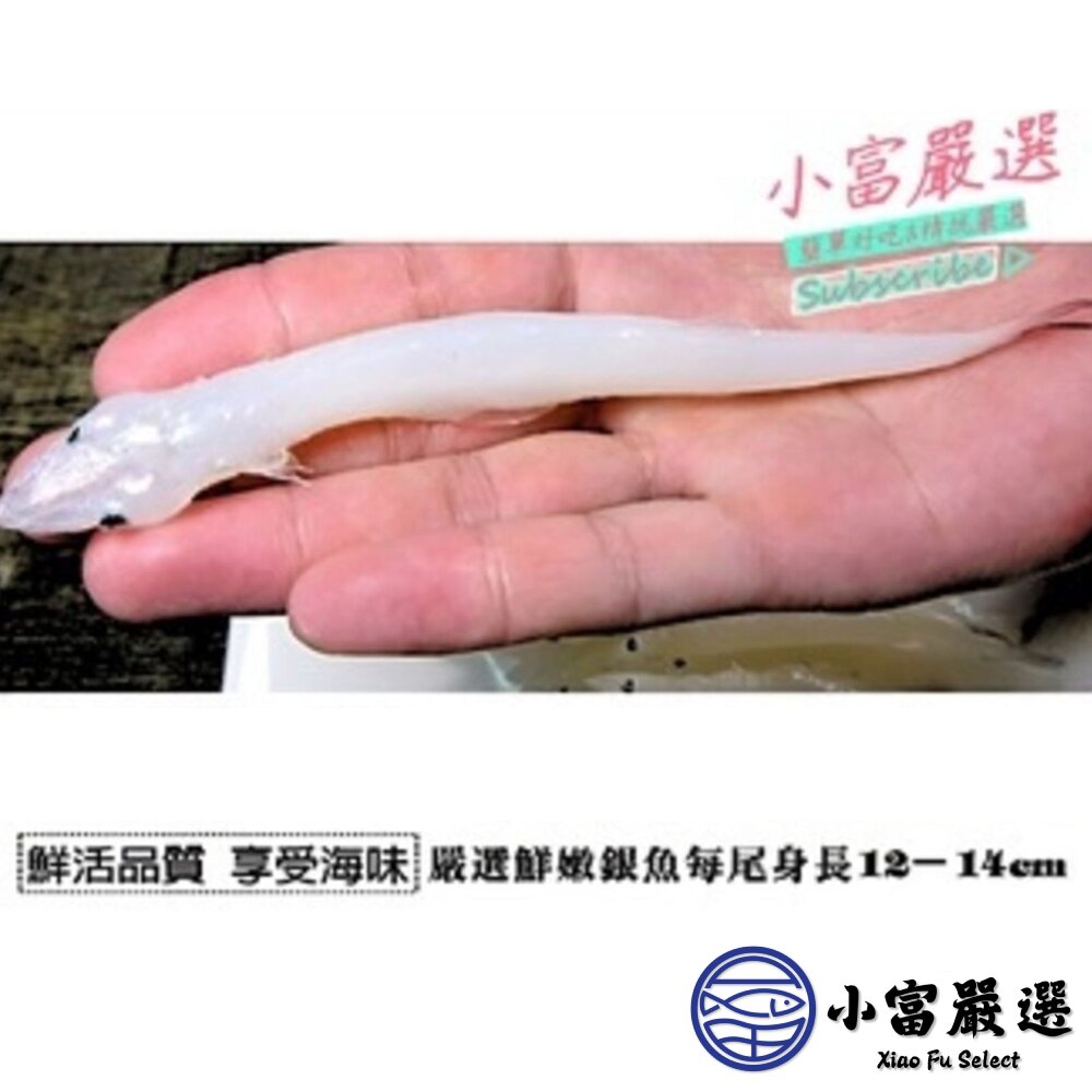 活凍銀魚 水晶魚 銀魚 銀白魚 銀白吻魚 (300g/包)-圖片-2