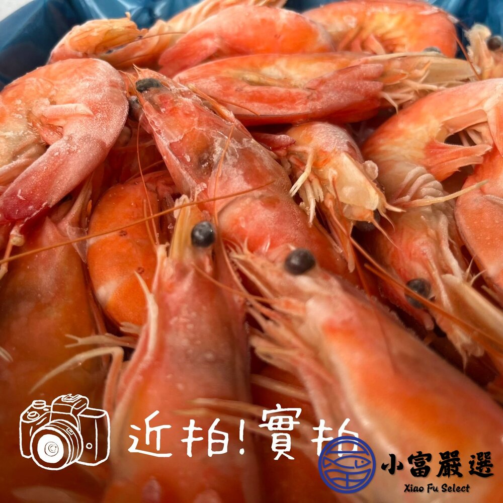 熟白蝦 熟凍白蝦 急凍白蝦 新鮮熟白蝦(多規格選擇)-圖片-2